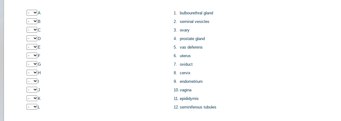 1. bulbourethral gland
VB
2. seminal vesicles
3. ovary
VD
4. prostate gland
VE
5. vas deferens
6. uterus
7. oviduct
8. cervix
9. endometrium
10. vagina
11. epididymis
12. seminiferous tubules
