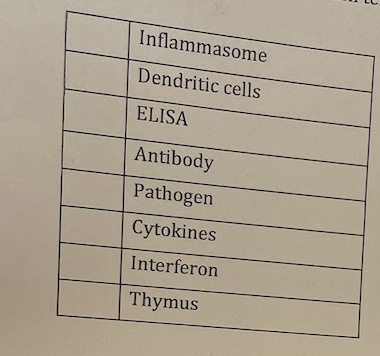 Inflammasome
Dendritic cells
ELISA
Antibody
Pathogen
Cytokines
Interferon
Thymus