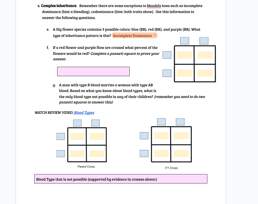 4. Complex inheritance: Remember there are some exceptions to Mendels laws such as incomplete
dominance (hint a blending), codominance (hint: both traits show). Use this information to
answer the following questions.
e. A lily flower species contains 3 possible colors: blue (BB), red (RR), and purple (BR). What
type of inheritance pattern is this? Incomplete Dominance
f. If a red flower and purple flow are crossed what percent of the
flowers would be red? Complete a punnett square to prove your
answer.
g. A man with type B blood marries a woman with type AB
blood. Based on what you know about blood types, what is
the only blood type not possible in any of their children? (remember you need to do two
punnett squares to answer this)
WATCH REVIEW VIDEO: Blood Types
Parent Cross
Blood Type that is not possible (supported by evidence in crosses above:)
F1 Cross