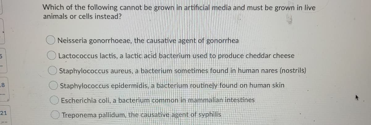 Which of the following cannot be grown in artificial media and must be grown in live
animals or cells instead?
Neisseria gonorrhoeae, the causative agent of gonorrhea
Lactococcus lactis, a lactic acid bacterium used to produce cheddar cheese
Staphylococcus aureus, a bacterium sometimes found in human nares (nostrils)
Staphylococcus epidermidis, a bacterium routinely found on human skin
Escherichia coli, a bacterium common in mammalian intestines
21
Treponema pallidum, the causative agent of syphilis
