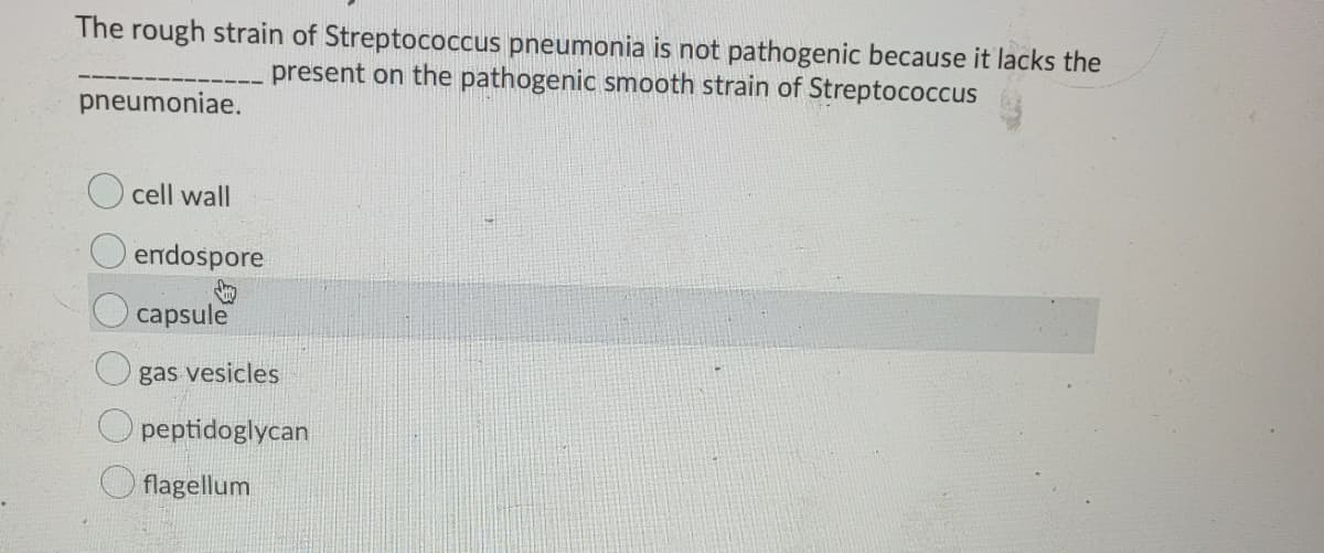 The rough strain of Streptococcus pneumonia is not pathogenic because it lacks the
present on the pathogenic smooth strain of Streptococcus
pneumoniae.
cell wall
O endospore
capsule
gas vesicles
peptidoglycan
flagellum
