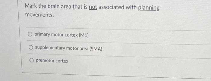 Mark the brain area that is not associated with planning
movements.
O primary motor cortex (M1)
O supplementary motor area (SMA)
premotor cortex