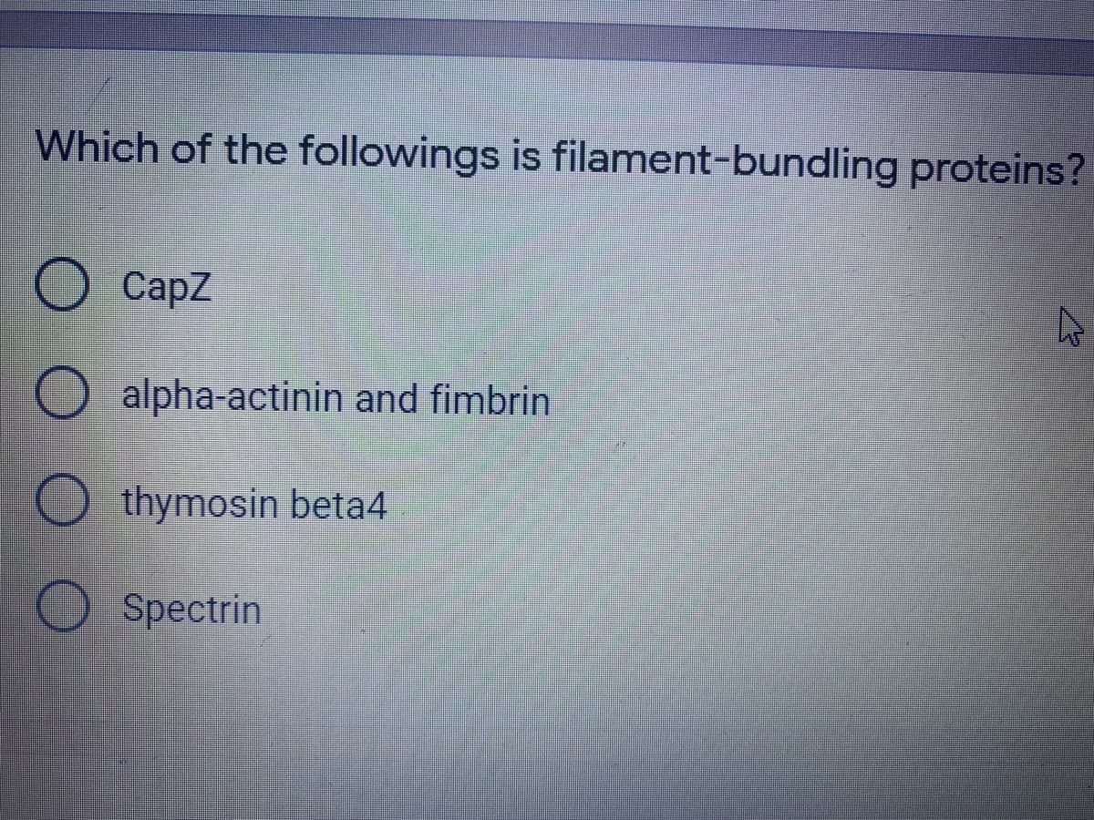 Which of the followings is filament-bundling proteins?
Сapz
alpha-actinin and fimbrin
O thymosin beta4
Spectrin
