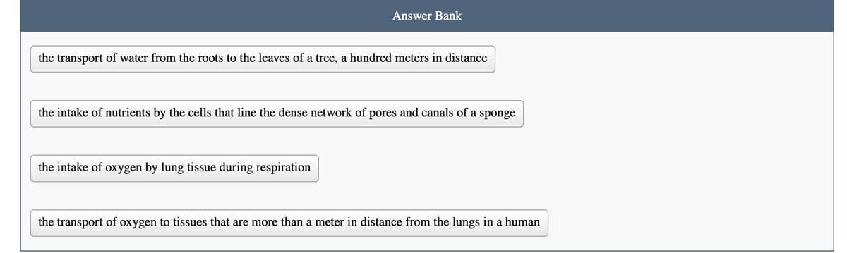 Answer Bank
the transport of water from the roots to the leaves of a tree, a hundred meters in distance
the intake of nutrients by the cells that line the dense network of pores and canals of a sponge
the intake of oxygen by lung tissue during respiration
the transport of oxygen to tissues that are more than a meter in distance from the lungs in a human