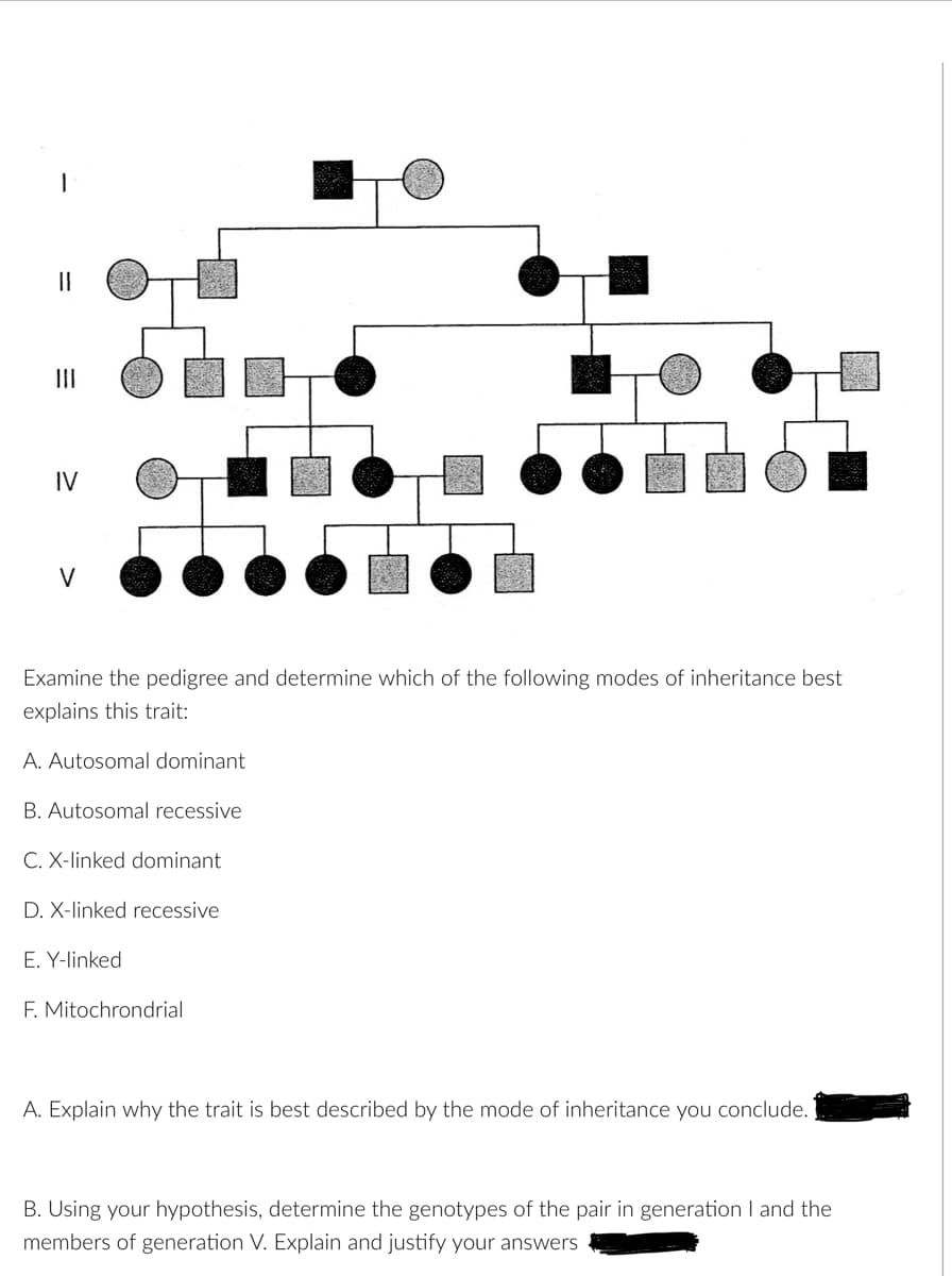 ||
IV
V
Examine the pedigree and determine which of the following modes of inheritance best
explains this trait:
A. Autosomal dominant
B. Autosomal recessive
C. X-linked dominant
D. X-linked recessive
E. Y-linked
F. Mitochrondrial
A. Explain why the trait is best described by the mode of inheritance you conclude.
B. Using your hypothesis, determine the genotypes of the pair in generation I and the
members of generation V. Explain and justify your answers