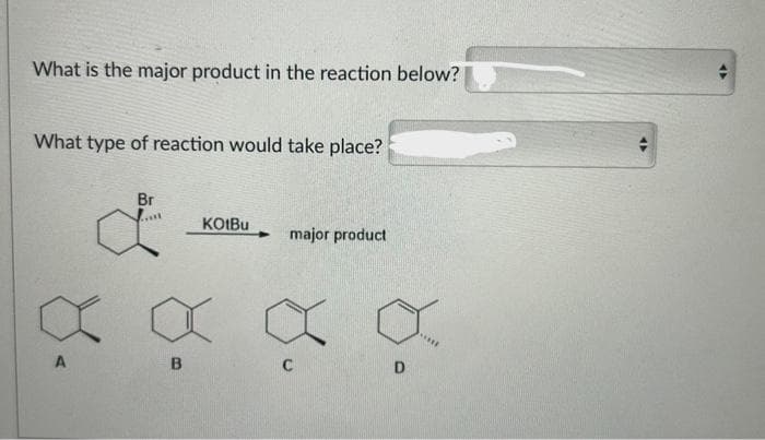 What is the major product in the reaction below?
What type of reaction would take place?
Br
đ
X
A
KOtBu
X
B
major product
D
<