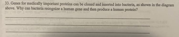 33. Genes for medically important proteins can be cloned and inserted into bacteria, as shown in the diagram
above. Why can bacteria recognize a human gene and then produce a human protein?
