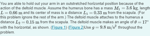 You are able to hold out your arm in an outstretched horizontal position because of the
action of the deltoid muscle. Assume the humerus bone has a mass M₁ = 3.6 kg, length
L = 0.66 m and its center of mass is a distance L₁ = 0.33 m from the scapula. (For
this problem ignore the rest of the arm.) The deltoid muscle attaches to the humerus a
distance L₂ = 0.15 m from the scapula. The deltoid muscle makes an angle of 0 = 17°
with the horizontal, as shown. (Figure 1) (Figure 2)Use g = 9.8 m/s² throughout the
problem.