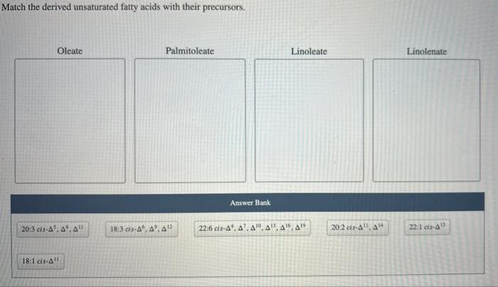 Match the derived unsaturated fatty acids with their precursors.
Oleate
20:3 cis-A³, A. All
18:1 cis-All
Palmitoleate
18:3 cis-A, A. A
Answer Bank
22:6 cis-A, A7, A¹0.
Linoleate
6,419
20:2 cis-A¹, A¹
Linolenate
22:1 cis-A¹