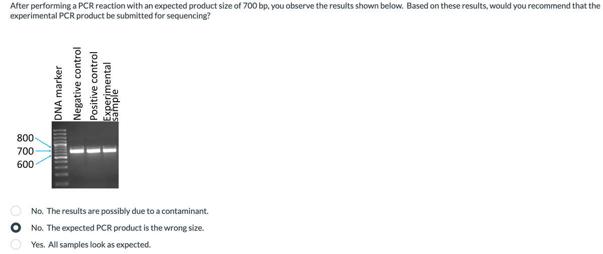 After performing a PCR reaction with an expected product size of 700 bp, you observe the results shown below. Based on these results, would you recommend that the
experimental PCR product be submitted for sequencing?
800-
700
600
DNA marker
Negative control
Positive control
Experimental
sample
No. The results are
possibly due to a contaminant.
No. The expected PCR product is the wrong size.
Yes. All samples look as expected.