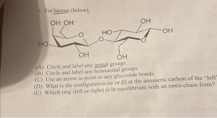 1. For lactose (below),
OH OH
НО
НО
OH
0
-ОН
ОН
OH
(A) Circle and label any acetal groups
(B) Circle and label any hemiacetal groups
(C) Use an arrow to point to any glycoside bonds
(D) What is the configuration (o or B) at the anomeric carbon of the "left"
(E) Which ring (left or right) is in equilibrium with an open-chain form?