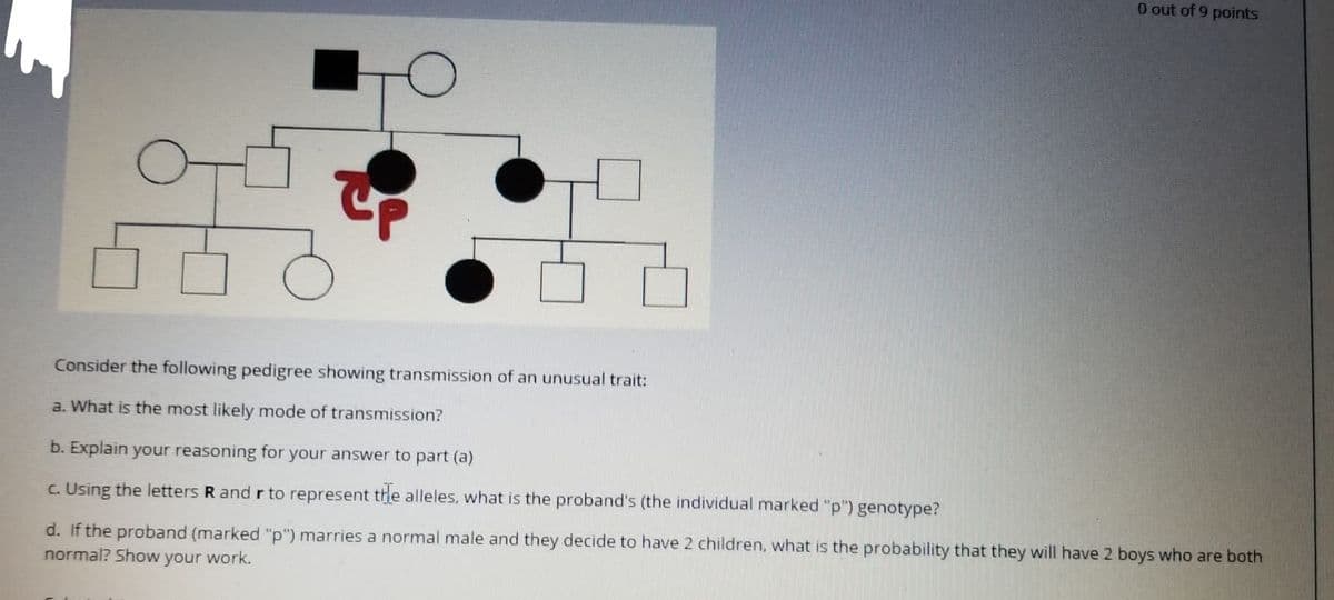 O out of 9 points
Consider the following pedigree showing transmission of an unusual trait:
a. What is the most likely mode of transmission?
b. Explain your reasoning for your answer to part (a)
c. Using the letters R and r to represent the alleles, what is the proband's (the individual marked "p") genotype?
d. If the proband (marked "p") marries a normal male and they decide to have 2 children, what is the probability that they will have 2 boys who are both
normal? Show your work.
