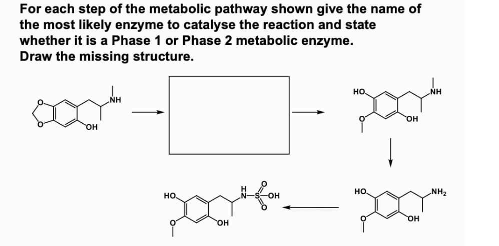 For each step of the metabolic pathway shown give the name of
the most likely enzyme to catalyse the reaction and state
whether it is a Phase 1 or Phase 2 metabolic enzyme.
Draw the missing structure.
OH
ΝΗ
HO
poolt
OH
Į
-OH
200th"300"
OH
HO.
HO.
OH
NH₂