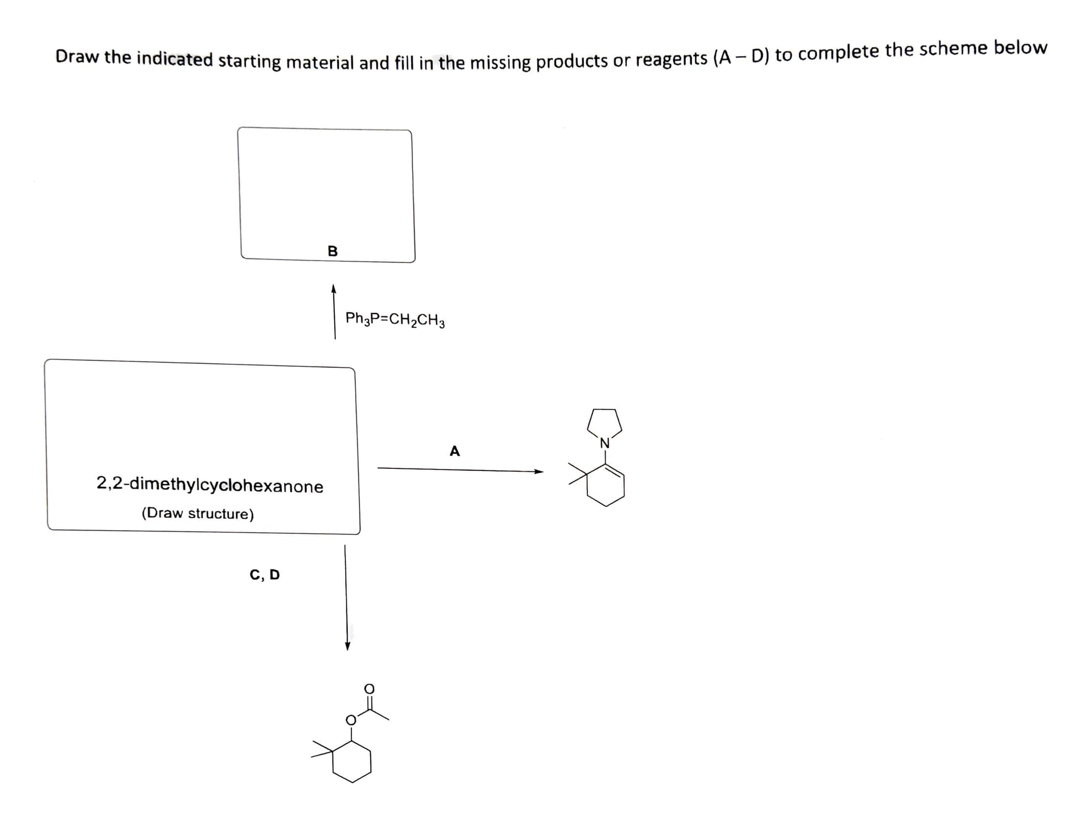Draw the indicated starting material and fill in the missing products or reagents (A – D) to complete the scheme below
в
Ph;P=CH2CH3
A
2,2-dimethylcyclohexanone
(Draw structure)
C, D
