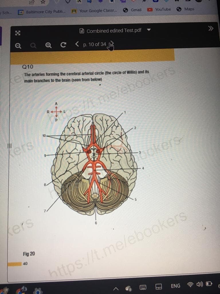 y Sch...
14 Baltimore City Publi....
C p. 10 of 34
Q10
The arteries forming the cerebral
main branches to the brain (seen from below)
R++
Kers
Kers
Fig 20
40
A Your Google Classr...
10.
Gmail
YouTube
Combined edited Test.pdf
arterial circle (the circle of Willis) and its
ps://t.me/ebookers
Packers
Maps
https://t.me/ebookers
ENG