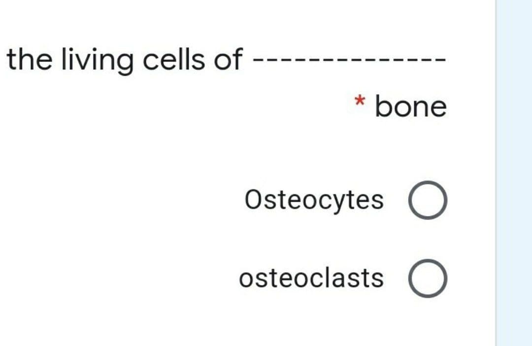 the living cells of
bone
Osteocytes O
osteoclasts O
