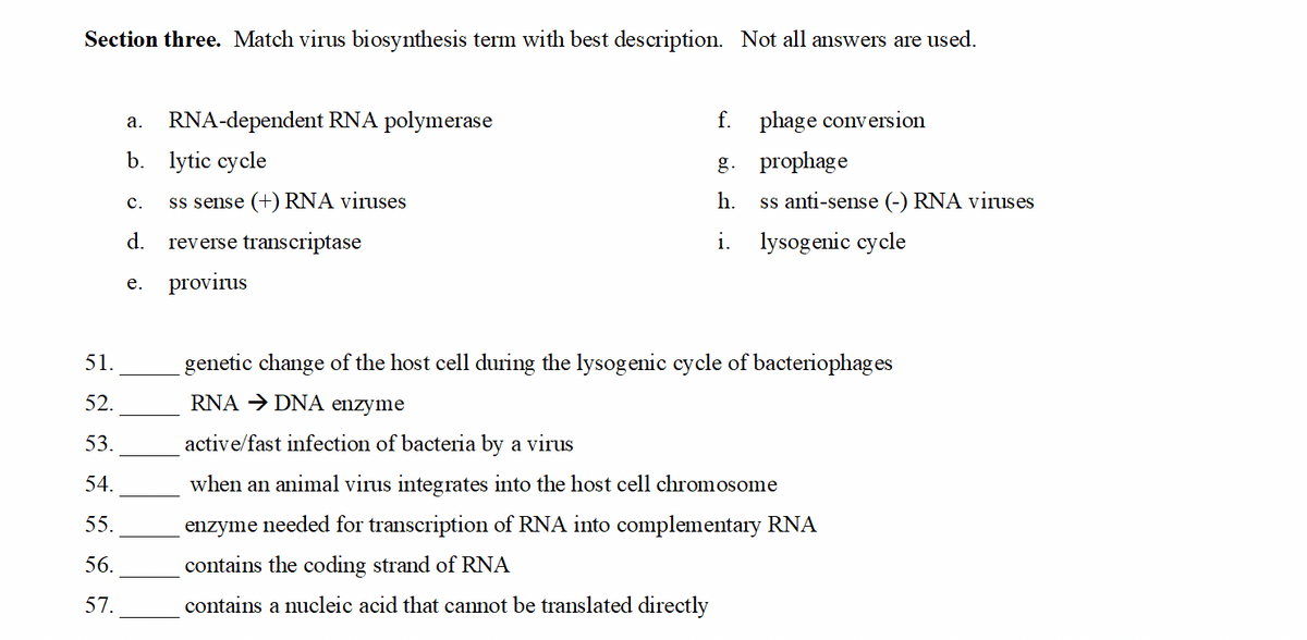 Section three. Match virus biosynthesis term with best description. Not all answers are used.
RNA-dependent RNA polymerase
f. phage conversion
а.
b. lytic cycle
g. prophage
ss sense (+) RNA viruses
h.
ss anti-sense (-) RNA viruses
с.
d.
reverse transcriptase
i.
lysogenic cycle
provirus
е.
51.
genetic change of the host cell during the lysogenic cycle of bacteriophag es
52.
RNA → DNA enzyme
53.
active/fast infection of bacteria by a virus
54.
when an animal virus integrates into the host cell chromosome
55.
enzyme needed for transcription of RNA into complementary RNA
56.
contains the coding strand of RNA
57.
contains a nucleic acid that cannot be translated directly
