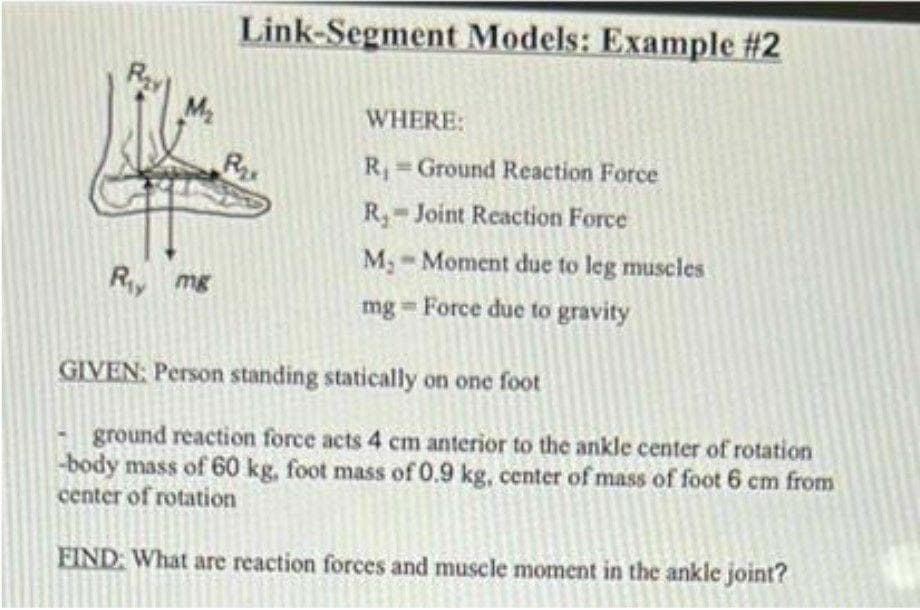 Link-Segment Models: Example #2
WHERE:
Rx
R Ground Reaction Force
R-Joint Reaction Force
M;-Moment due to leg muscles
Ry mg
mg = Force due to gravity
GIVEN: Person standing statically on one foot
ground reaction force acts 4 cm anterior to the ankle center of rotation
-body mass of 60 kg, foot mass of 0.9 kg, center of mass of foot 6 cm from
center of rotation
FIND: What are reaction forces and muscle moment in the ankle joint?
