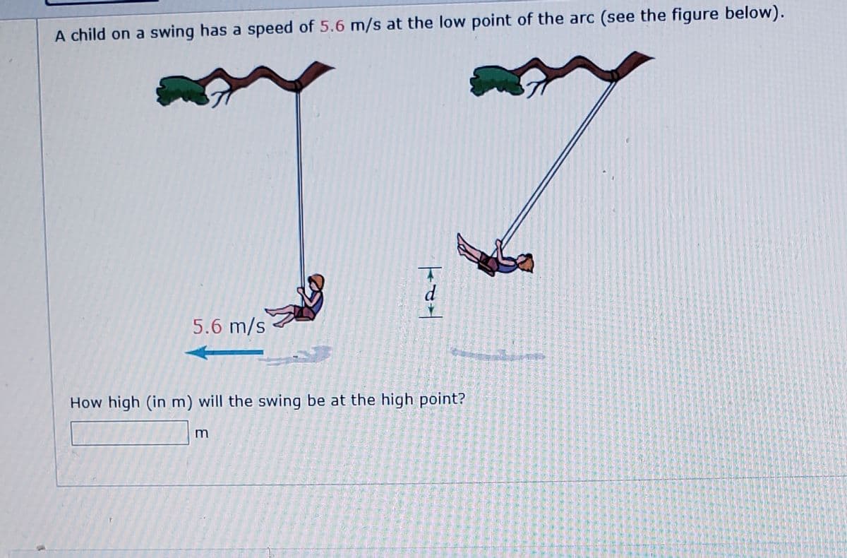 A child on a swing has a speed of 5.6 m/s at the low point of the arc (see the figure below).
5.6 m/s
How high (in m) will the swing be at the high point?
m
