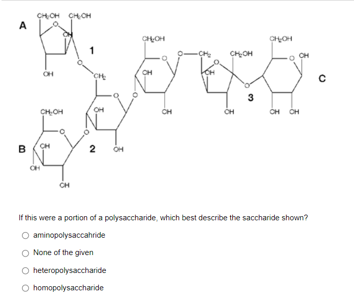 CHOH CHOH
A
CHOH
CHOH
-CH2
CHOH
OH
он
CH
3
CHOH
он
ÓH OH
B
2
OH
CH
If this were a portion of a polysaccharide, which best describe the saccharide shown?
aminopolysaccahride
None of the given
heteropolysaccharide
O homopolysaccharide
