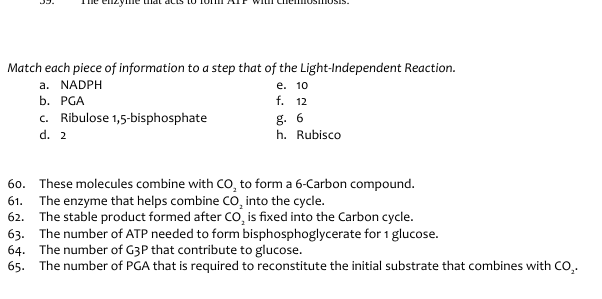 ulat acts to
Match each piece of information to a step that of the Light-Independent Reaction.
a. NADPH
е. 10
b. РGA
f. 12
c. Ribulose 1,5-bisphosphate
g. 6
h. Rubisco
d. 2
60. These molecules combine with CO, to form a 6-Carbon compound.
61. The enzyme that helps combine co, into the cycle.
62. The stable product formed after co, is fixed into the Carbon cycle.
63. The number of ATP needed to form bisphosphoglycerate for 1 glucose.
64. The number of G3P that contribute to glucose.
65. The number of PGA that is required to reconstitute the initial substrate that combines with co,.
