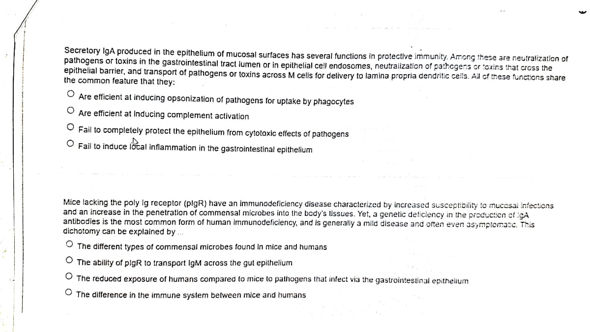 Secretory IgA produced in the epithelium of mucosal surfaces has several functions in protective immunity. Among these are neutralization of
pathogens or toxins in the gastrointestinal tract lumen or in epithelial ce!l endosomes, neutralization of pathcgens or toxins that cross the
epithelial barrier, and transport of pathogens or toxins across M cells for delivery to lamina propria dendritic cells. All of these functions share
the common feature that they:
Are efficient at inducing opsonization of pathogens for uptake by phagocytes
Are efficient at inducing complement activation
Fail to completely protect the epithelium from cytotoxic effects of pathogens
O Fail to induce local inflammation in the gastrointestinal epithelium
Mice lacking the poly Ig receptor (plgR) have an immunodeficiency disease characterized by increased susceptibility to mucosai infections
and an increase in the penetration of commensal microbes into the bcdy's tissues. Yet, a genetic deficiency in the production of igA
antibodies is the most common form of human immunodeficiency, and is generally a mild disease and often even asymptomatic. This
dichotomy can be explained by
O The different types of commensal microbes found in mice and humans
The ability of plgR to transport igM across the gut epithelium
O The reduced exposure of humans compared to mice to pathogens that infect via the gastrointestinal epithelium
O The difference in the immune system between mice and humans
