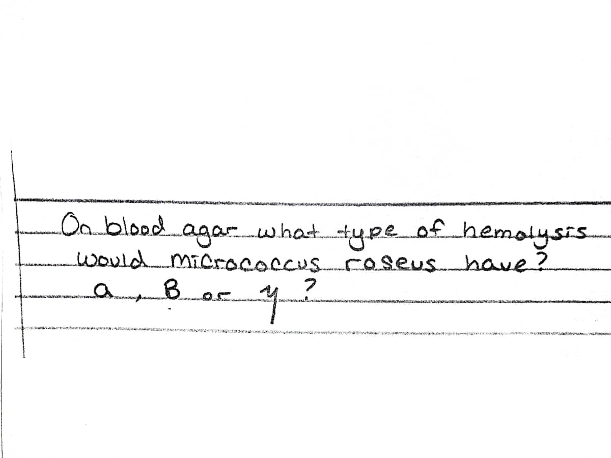 Oa blood
-০9০- -hot-५pe ०fhemolysrs
would miCrococcus reseushave?
Bor
