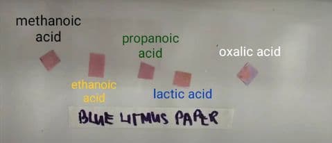 methanoic
acid
propanoic
acid
ethanoic
acid
lactic acid
BLUE LITMUS PAPER
oxalic acid