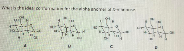 What is the ideal conformation for the alpha anomer of D-mannose.
ОН
OH
H OH
OH
OH
Н
Н
НО
HO
НО
H
OH
Н
Н
Н
H
HO
H
Н
A
OH
OH
НО-
Н
B
ОН
H
Н
OH
C
OH
H
H
OH
ОН
Н
OH
D
-0
Н
Н
-OH