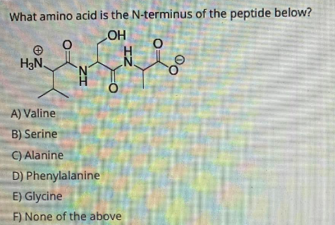 What amino acid is the N-terminus of the peptide below?
_OH
O
O
+
H3N.
8
A) Valine
B) Serine
C) Alanine
D) Phenylalanine
E) Glycine
F) None of the above
N
ZI
O
N.