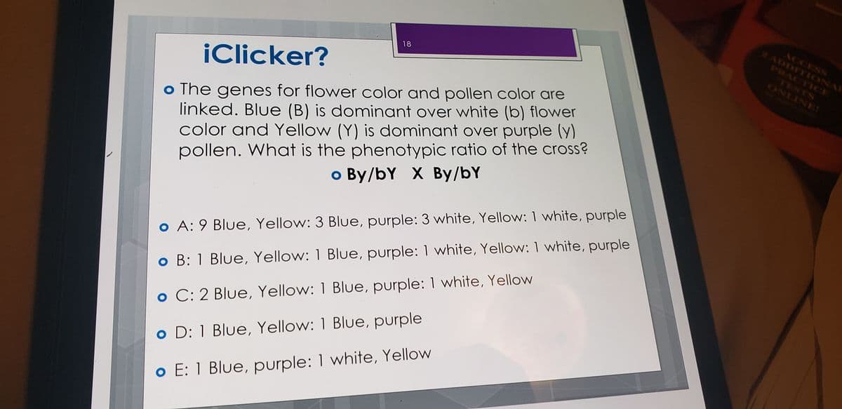 ACCESS
18
PRACTICE
¡Clicker?
E
o The genes for flower color and pollen color are
linked. Blue (B) is dominant over white (b) flower
color and Yellow (Y) is dominant over purple (y)
pollen. What is the phenotypic ratio of the cross?
o By/bY X By/bY
o A: 9 Blue, Yellow: 3 Blue, purple: 3 white, Yellow: 1 white, purple
o B: 1 Blue, Yellow: 1 Blue, purple: 1 white, Yellow: 1 white, purple
o C: 2 Blue, Yellow: 1 Blue, purple: 1 white, Yellow
o D: 1 Blue, Yellow: 1 Blue, purple
o E: 1 Blue, purple: 1 white, Yellow

