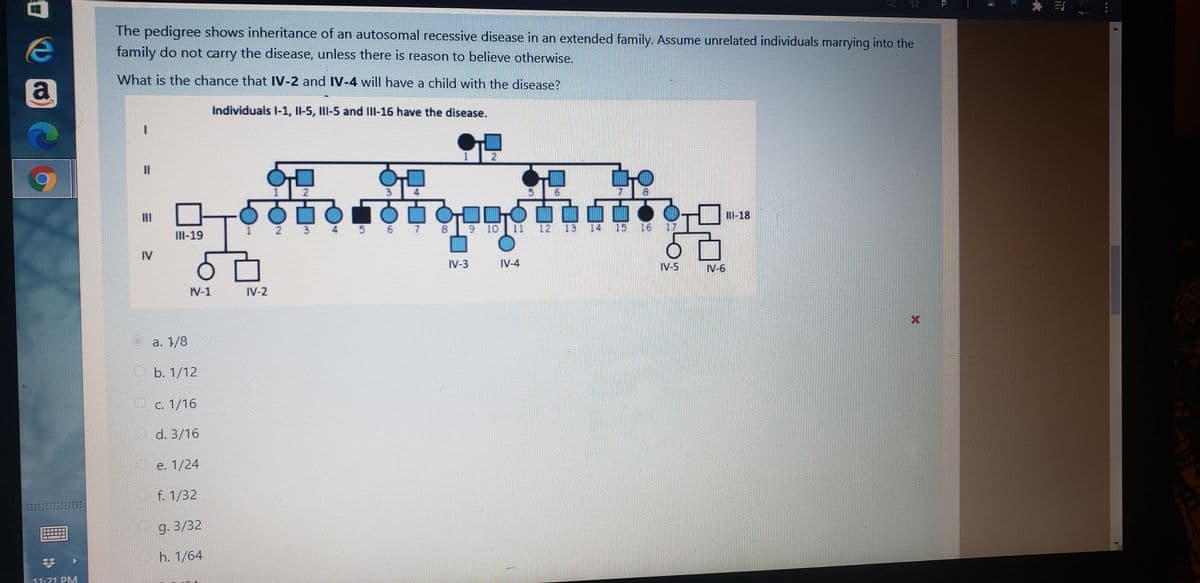 身 三
P
The pedigree shows inheritance of an autosomal recessive disease in an extended family. Assume unrelated individuals marrying into the
family do not carry the disease, unless there is reason to believe otherwise.
What is the chance that IV-2 and IV-4 will have a child with the disease?
a
Individuals l-1, Il-5, IlI-5 and IlIl-16 have the disease.
21
3
II-18
5
7.
8.
9 10
11
12
13
14
15
16 17
III-19
IV
IV-3
IV-4
IV-5
IV-6
W-1
IV-2
a. 1/8
b. 1/12
C. 1/16
d. 3/16
e. 1/24
f. 1/32
g. 3/32
h. 1/64
11-21 PM
2.
