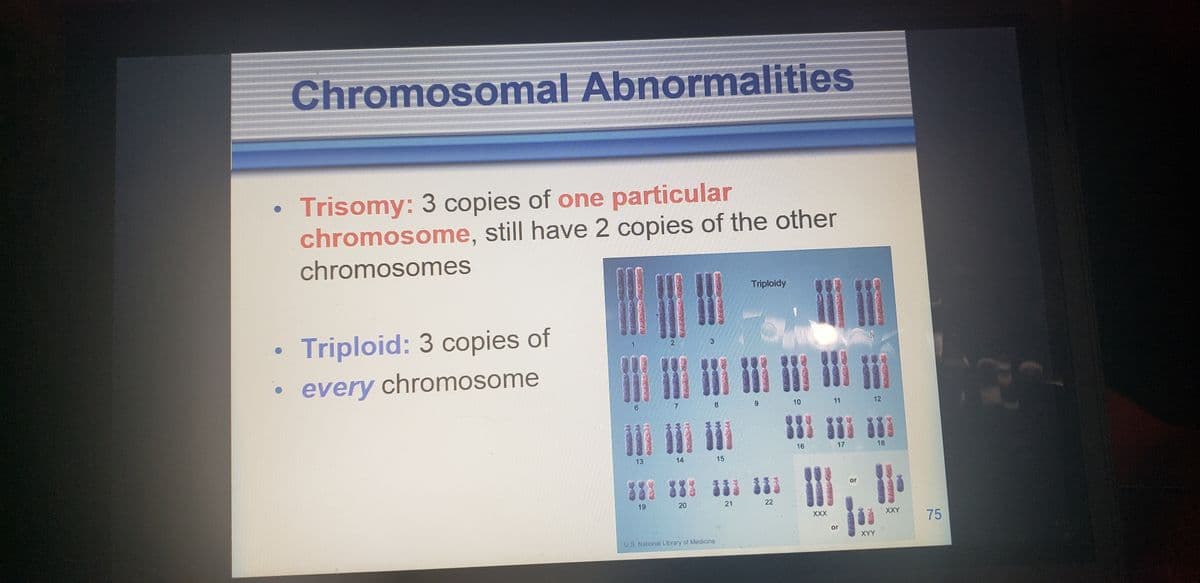 Chromosomal Abnormalities
Trisomy: 3 copies of one particular
chromosome, still have 2 copies of the other
chromosomes
Triploidy
Triploid: 3 copies of
3
every chromosome
8.
10
11
12
16
17
18
13
14
15
83
or
19
20
21
22
XXX
XXY
75
or
US National L brary of Medicine
XYY
CEES G
