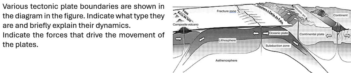 Various tectonic plate boundaries are shown in
the diagram in the figure. Indicate what type they
are and briefly explain their dynamics.
Indicate the forces that drive the movement of
the plates.
Fosa
Arco de Isla
Composite volcano
Fracture zone
Lithosphere
Asthenosphere
iochera. Zanja de Falla
Oceanic plate
Subduction zone
Volcanic arc i
Continental plate
C
Continent