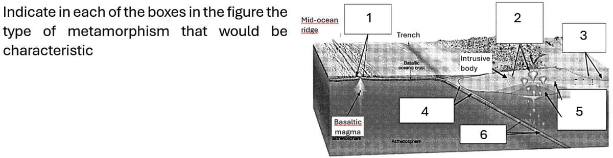 Indicate in each of the boxes in the figure the
type of metamorphism that would be
characteristic
Mid-ocean 1
ridge
Basaltic
magma
asthenosphere
Trench
Basaltic
oceanic crust
Asthenosphere
Intrusive
body
O)
2
3
5