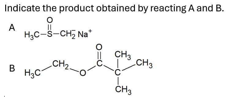 Indicate the product obtained by reacting A and B.
A
||
H3C-S-CH₂ Na*
||
CH 3
B
CH2.
C.
CH3
H3C
CH3