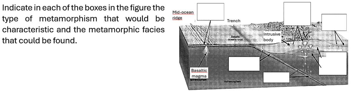 Indicate in each of the boxes in the figure the
type of metamorphism that would be
characteristic and the metamorphic facies
that could be found.
Mid-ocean
ridge
Basaltic
magma
asthenosphere
Trench
Basaltic
oceanic crust
Asthenosphere
Intrusive
body