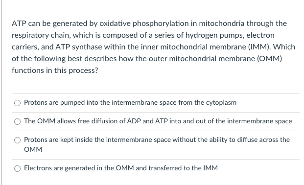 ATP can be generated by oxidative phosphorylation in mitochondria through the
respiratory chain, which is composed of a series of hydrogen pumps, electron
carriers, and ATP synthase within the inner mitochondrial membrane (IMM). Which
of the following best describes how the outer mitochondrial membrane (OMM)
functions in this process?
Protons are pumped into the intermembrane space from the cytoplasm
The OMM allows free diffusion of ADP and ATP into and out of the intermembrane space
Protons are kept inside the intermembrane space without the ability to diffuse across the
OMM
Electrons are generated in the OMM and transferred to the IMM
