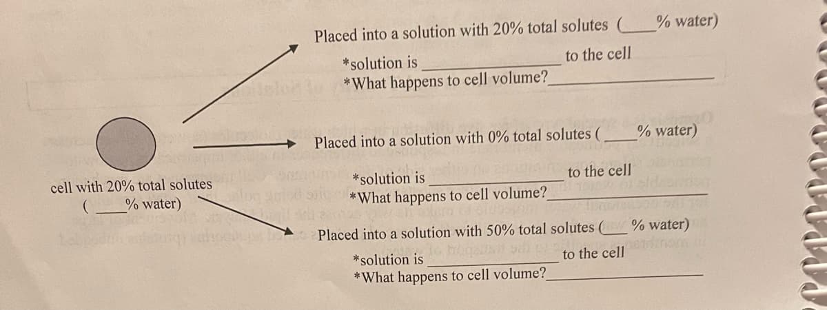Placed into a solution with 20% total solutes (_% water)
*solution is
to the cell
*What happens to cell volume?
Placed into a solution with 0% total solutes (
% water)
cell with 20% total solutes
*solution is
to the cell
% water)
*What happens to cell volume?
Placed into a solution with 50% total solutes (
% water)
*solution is
to the cell
*What happens to cell volume?
