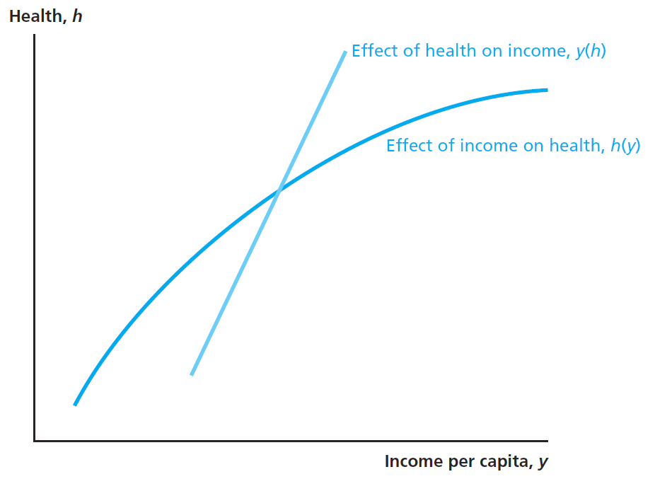 Health, h
Effect of health on income, y(h)
Effect of income on health, h(y)
Income per capita, y