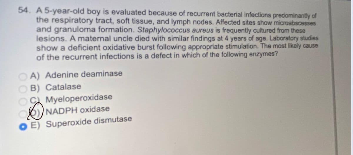 54. A 5-year-old boy is evaluated because of recurrent bacterial infections predominantly of
the respiratory tract, soft tissue, and lymph nodes. Affected sites show microabscesses
and granuloma formation. Staphylococcus aureus is frequently cultured from these
lesions. A maternal uncle died with similar findings at 4 years of age. Laboratory studies
show a deficient oxidative burst following appropriate stimulation. The most likely cause
of the recurrent infections is a defect in which of the following enzymes?
A) Adenine deaminase
B) Catalase
OA)
OC Myeloperoxidase
NADPH oxidase
O E)
E) Superoxide dismutase