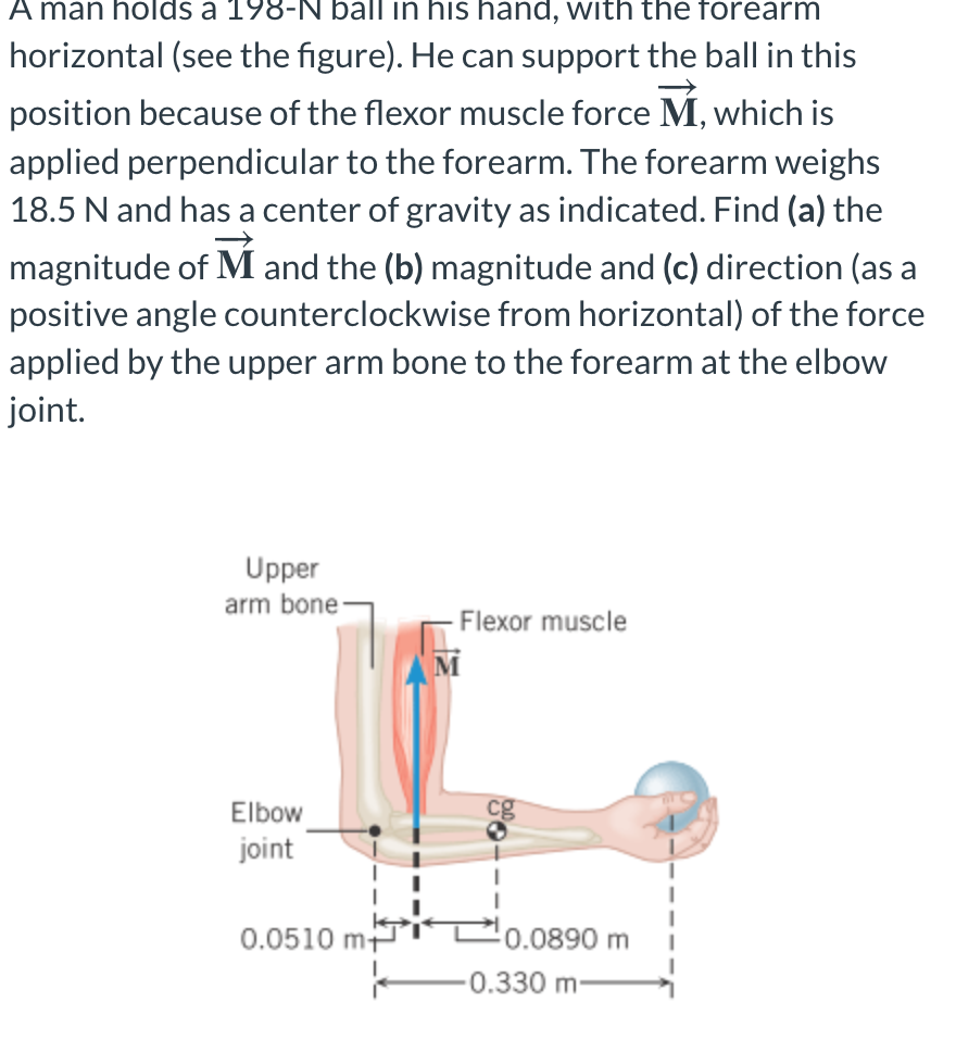 A man holds a 198-N ball in his hand, with the forearm
horizontal (see the figure). He can support the ball in this
position because of the flexor muscle force M, which is
applied perpendicular to the forearm. The forearm weighs
18.5 N and has a center of gravity as indicated. Find (a) the
magnitude of M and the (b) magnitude and (c) direction (as a
positive angle counterclockwise from horizontal) of the force
applied by the upper arm bone to the forearm at the elbow
joint.
Upper
arm bone
- Flexor muscle
M
Elbow
joint
cg
0.0510 mt
T0.0890 m
0.330 m-
