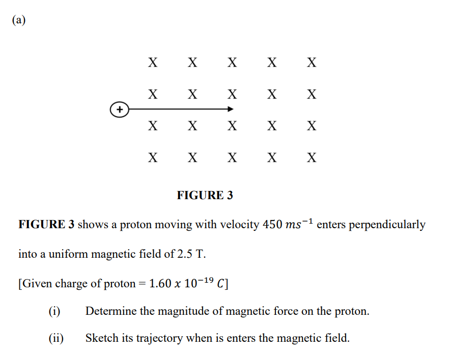 (a)
X
X
X
х х
X
X
X
X
X
X
X
X
X
X
X
X
FIGURE 3
FIGURE 3 shows a proton moving with velocity 450 ms¯1 enters perpendicularly
into a uniform magnetic field of 2.5 T.
[Given charge of proton = 1.60 x 10-19 C]
(i)
Determine the magnitude of magnetic force on the proton.
(ii)
Sketch its trajectory when is enters the magnetic field.
+

