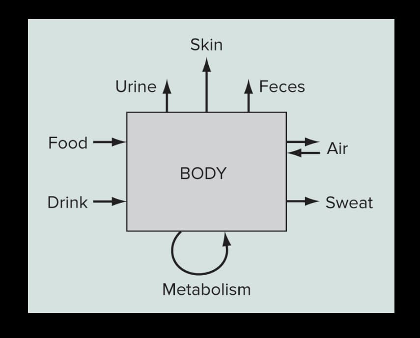 Food
Drink
Urine
Skin
BODY
Metabolism
Feces
Air
Sweat
