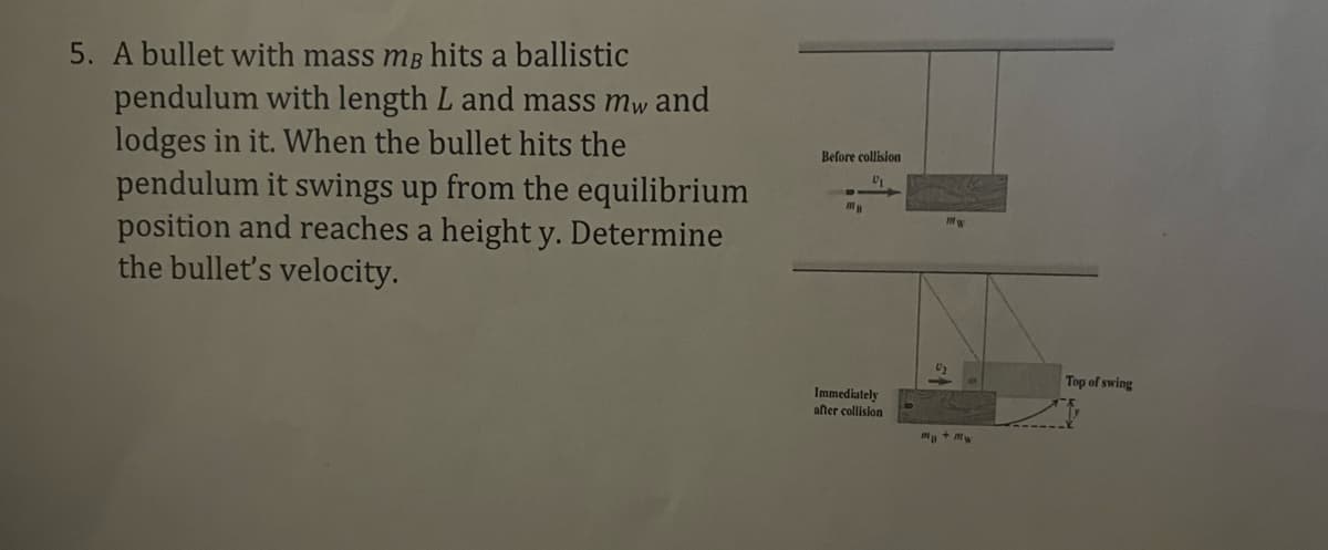 5. A bullet with mass me hits a ballistic
pendulum with length L and mass mw and
lodges in it. When the bullet hits the
pendulum it swings up from the equilibrium
position and reaches a height y. Determine
the bullet's velocity.
Before collision
0₁
ma
Immediately
after collision
mw
Top of swing