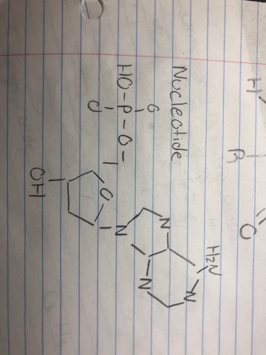 HzN
Nucleotide
HO-P-0-
0.

