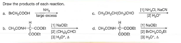 Draw the products of each reaction.
NH3
[1] NH,CI, NaCN
a. BrCH,COOH
Тarge excess
c. CH,CH,CH(CH,)CHO
[2] H30*
H
[1] NaOEt
[1) N2OE!
b. CH;CONH--cOOEt
ČOOEt
[2] (CH3),CHCI
[3] H3O*, A
d. CH;CONH-C-cOOEt
cOOEt
[2] BRCH,CO,Et
[3] H3O*, A
