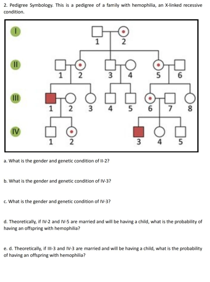 2. Pedigree Symbology. This is a pedigree of a family with hemophilia, an X-linked recessive
condition.
1
6.
1
5 6
7
8
1
3
a. What is the gender and genetic condition of II-2?
b. What is the gender and genetic condition of IV-3?
c. What is the gender and genetic condition of IV-3?
d. Theoretically, if IV-2 and IV-5 are married and will be having a child, what is the probability of
having an offspring with hemophilia?
e. d. Theoretically, if III-3 and IV-3 are married and will be having a child, what is the probability
having an offspring with hemophilia?

