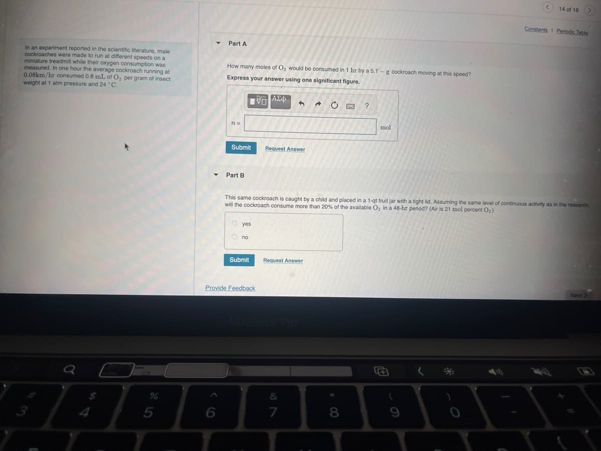 In an experiment reported in the scientific literature, male
cockroaches were made to run at different speeds on a
miniature treadmill while their oxygen consumption was
measured. In one hour the average cockroach running at
0.08km/hr consumed 0.8 mL of O2 per gram of insect
weight at 1 atm pressure and 24 °C.
▾ Part A
How many moles of O2 would be consumed in 1 hr by a 5.1-g cockroach moving at this speed?
Express your answer using one significant figure.
3
a
85
55
4
ΜΕ ΑΣΦ
7 0
?
Submit
Request Answer
Part B
mol
14 of 16
Constants 1 Periodic Table
This same cockroach is caught by a child and placed in a 1-qt fruit jar with a tight lid. Assuming the same level of continuous activity as in the research,
will the cockroach consume more than 20% of the available O2 in a 48-hr period? (Air is 21 mol percent O₂)
yes
no
Submit
Request Answer
Provide Feedback
96
MacBook Pro
97
7
* 00
8
+
6
<*
0
Next>