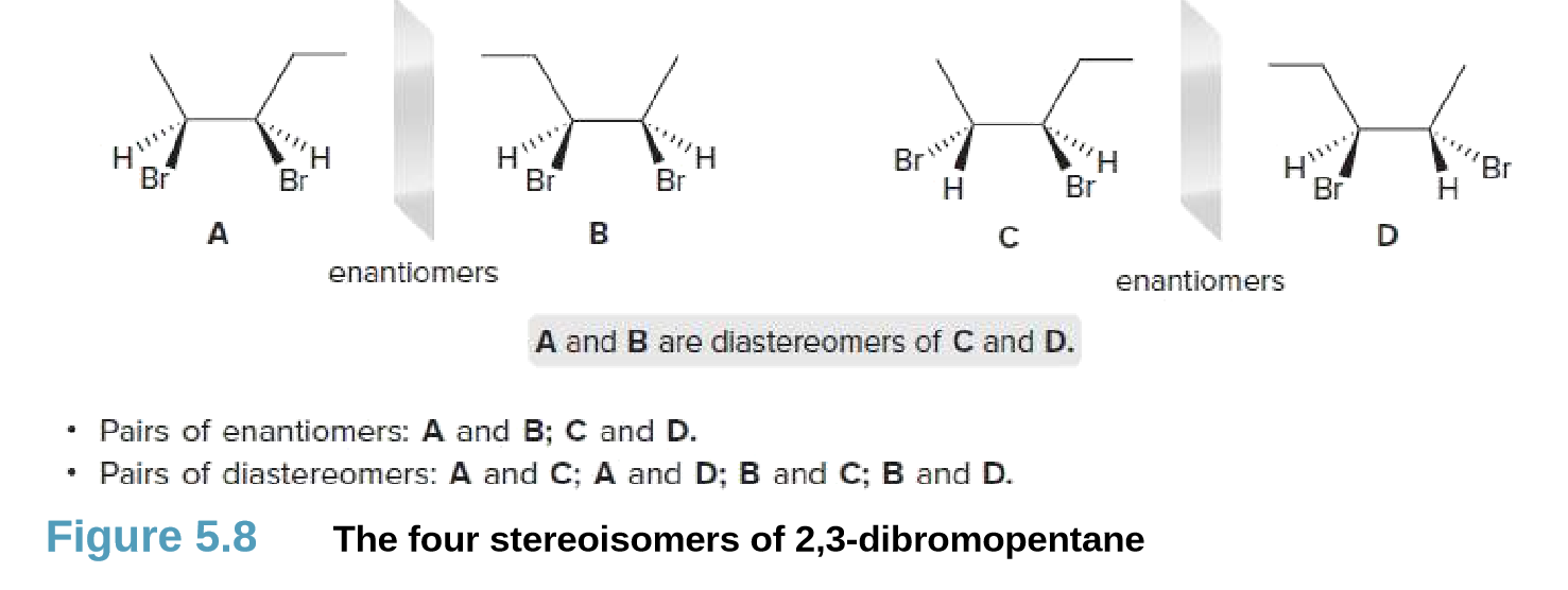 yッ
Br
H,
Br
Br
Br
Br
Br
A
enantiomers
enantiomers
A and B are diastereomers of C and D.
Pairs of enantiomers: A and B; C and D.
Pairs of diastereomers: A and C; A and D; B and C; B and D.
Figure 5.8
The four stereoisomers of 2,3-dibromopentane
